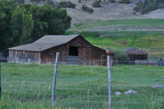 West Elk countryside